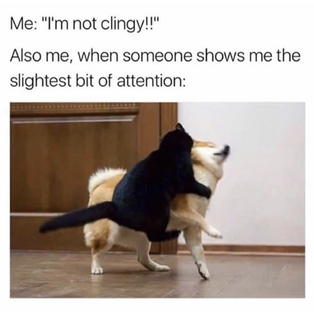 CocktailCritter's tweet photo. Damnit, not again! 🤣 https://t.co/jy7M5BoQK7