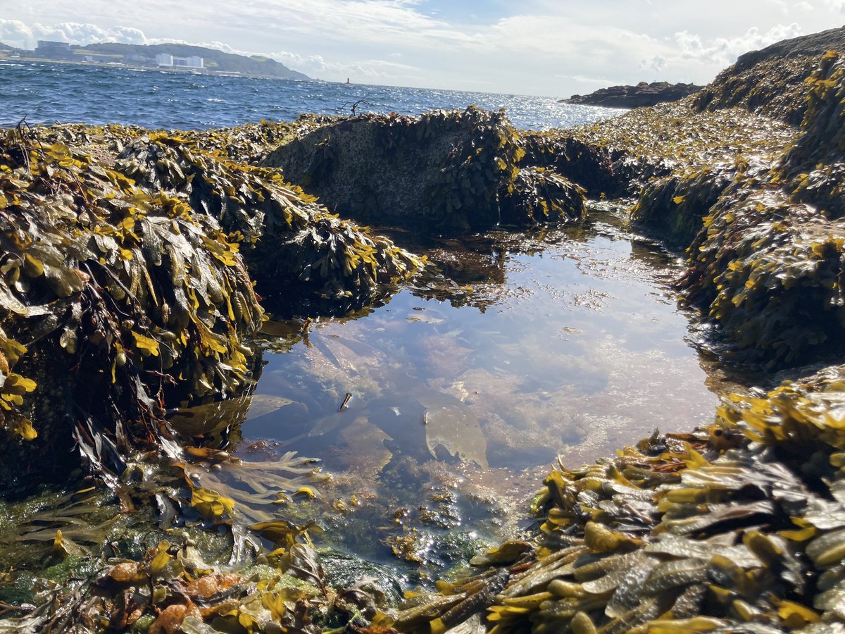 TippettLS's tweet image. #MillportPhotos @sgsah