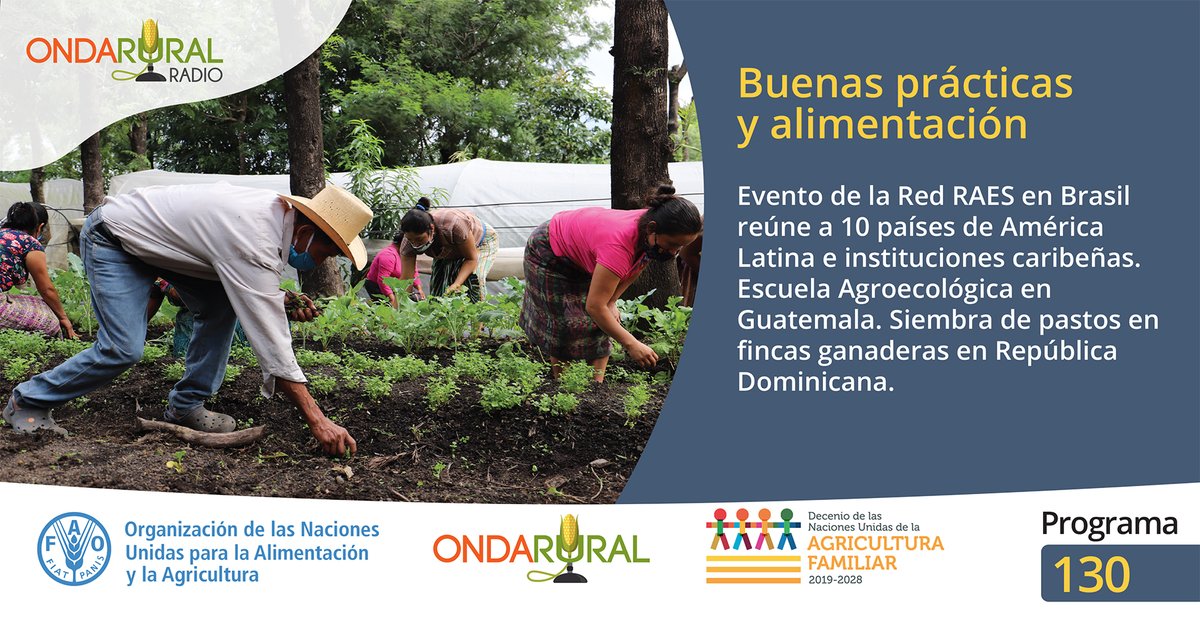 ondarural's tweet photo. 📣Al aire el #programa130 de #OndaRuralRadio🎙
✔ Evento de la Red de Alimentación Escolar #RAES en Brasil reúne a 10 países de #AméricaLatina e instituciones caribe��as.
#EXPERIENCIA: Buenas prácticas de siembra de pastos en RD🇩🇴
🎧Escúchanos ▶️ https://t.co/YDkJhvLD03 https://t.co/UWZmtLD8yx