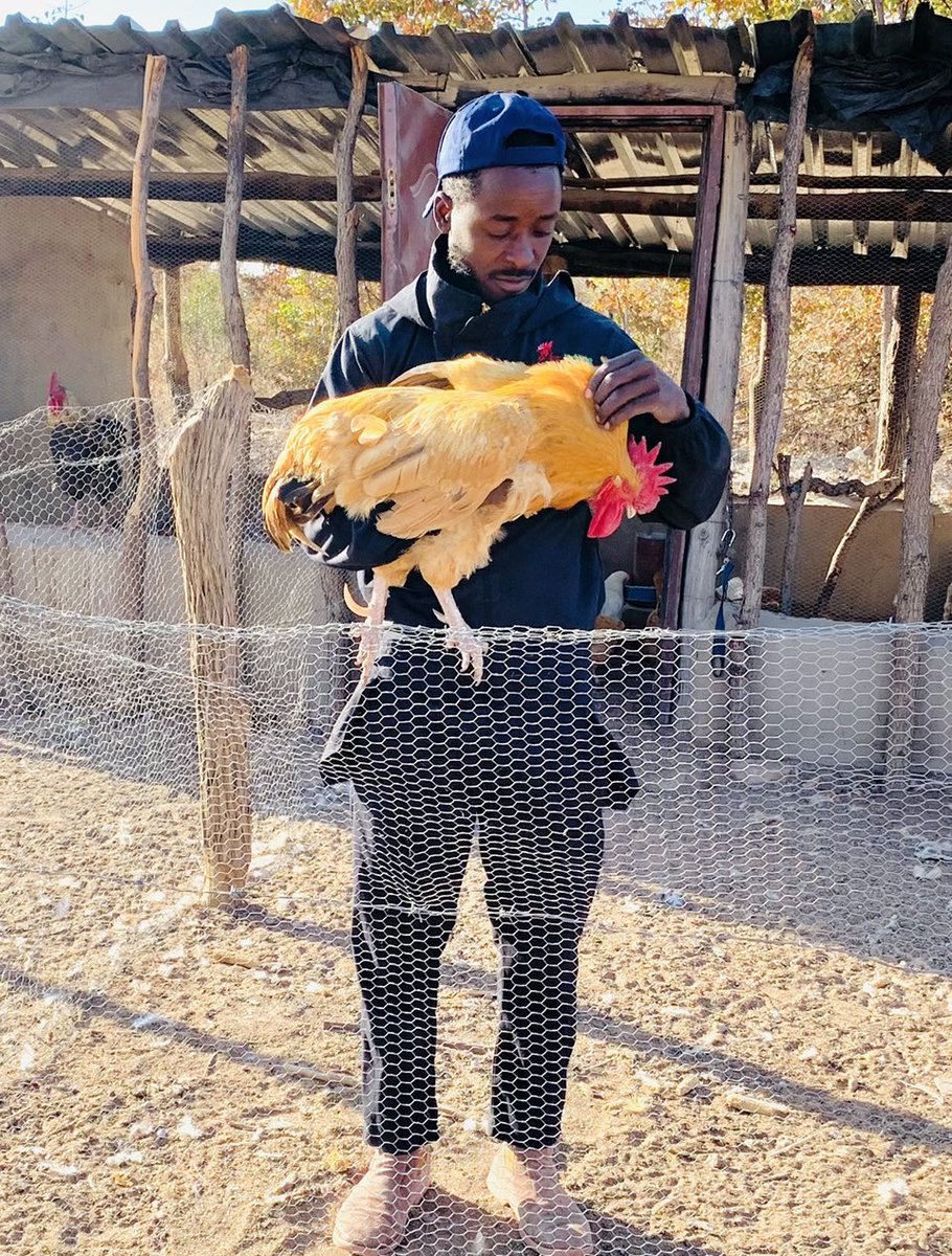 terrymap1's tweet photo. The Chicken Business Saved My Life🙏🏿❤️ https://t.co/PFlY8IV2Ei