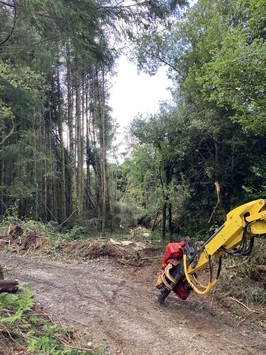 Arbor_Culture's tweet photo. Finished line thinning an area of Douglas Fir today. On to a boggy area of wind blown Sitka before the weather changes. Going to try and get around the back of the blow so that I’m pulling them off the top… https://t.co/cmYpO5pgzF