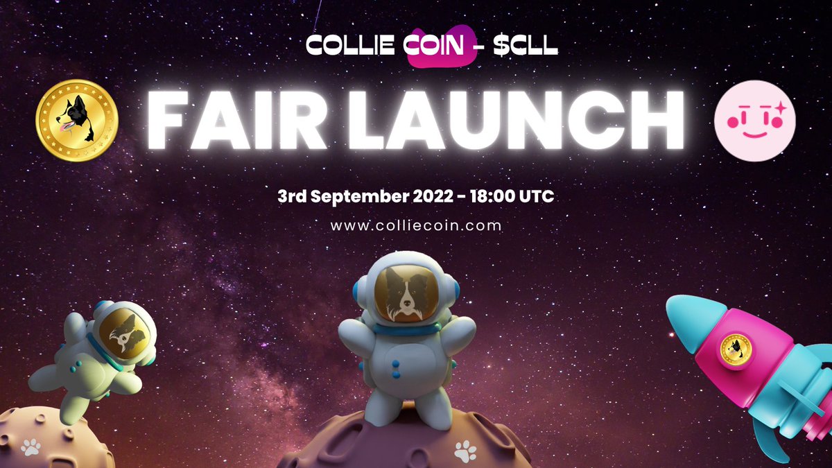 Collie Coin tweet media