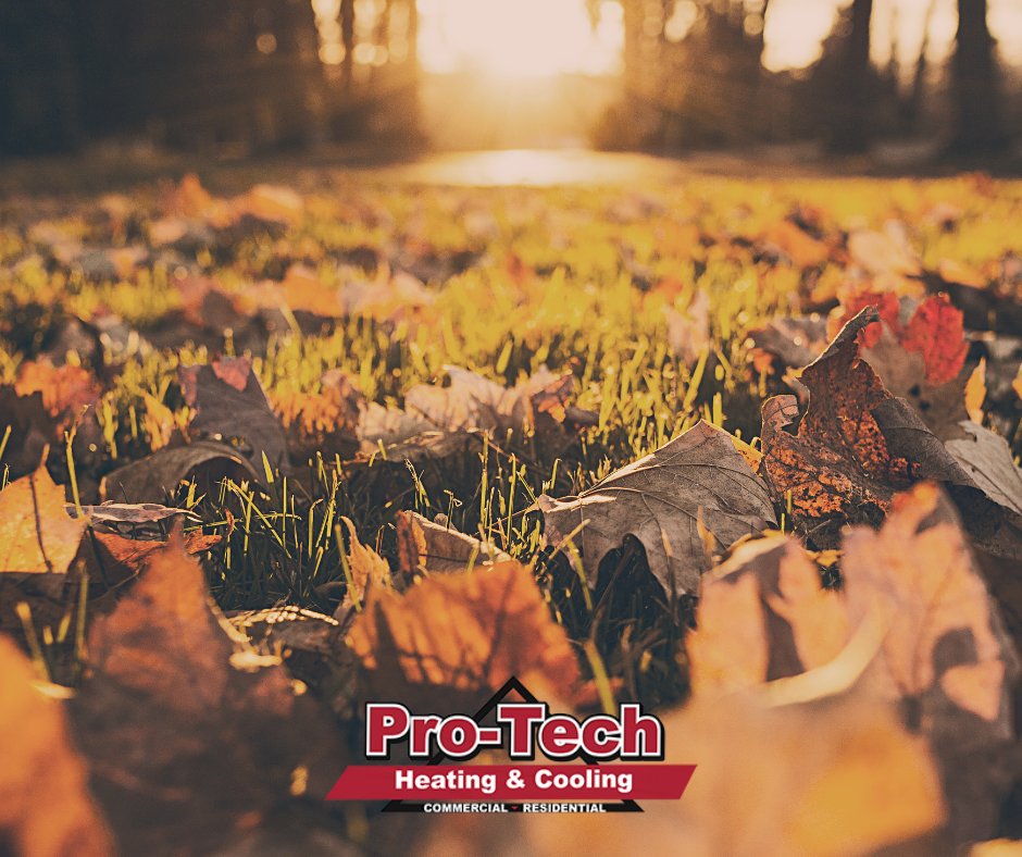 protechheating1's tweet photo. Cooler weather will be here before you know it. Be sure to schedule your furnace tune-up while we still have open slots available. Visit https://t.co/F9eO7WU6sj to learn more. https://t.co/0suNZBxSPp