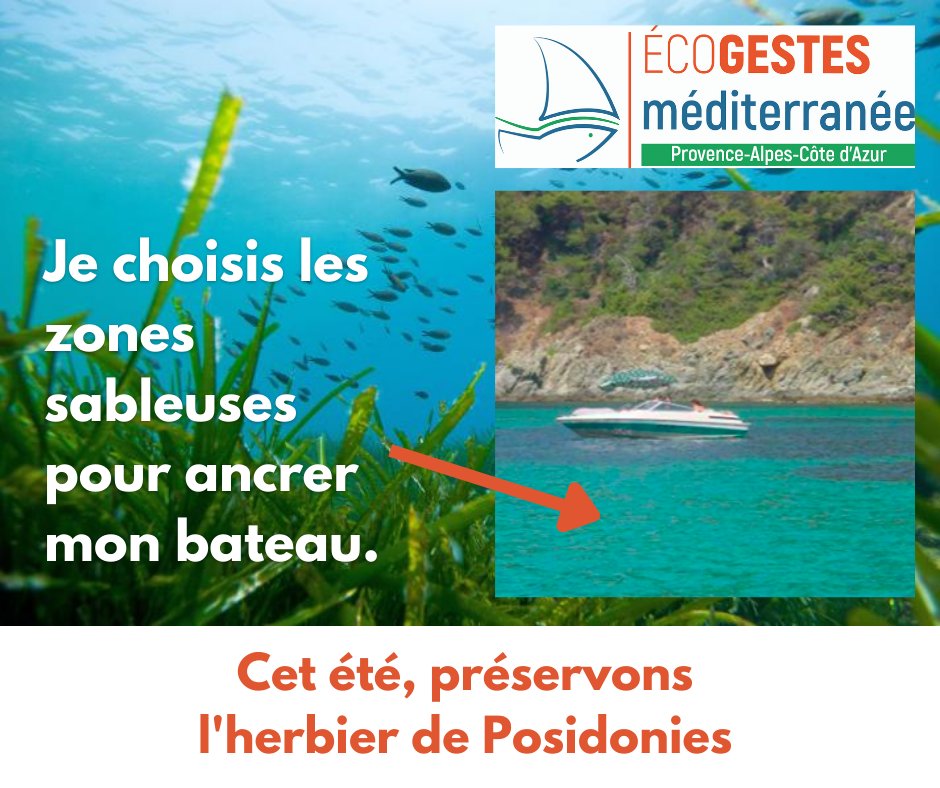 EcogestesM's tweet photo. https://t.co/kfIKwLODAH