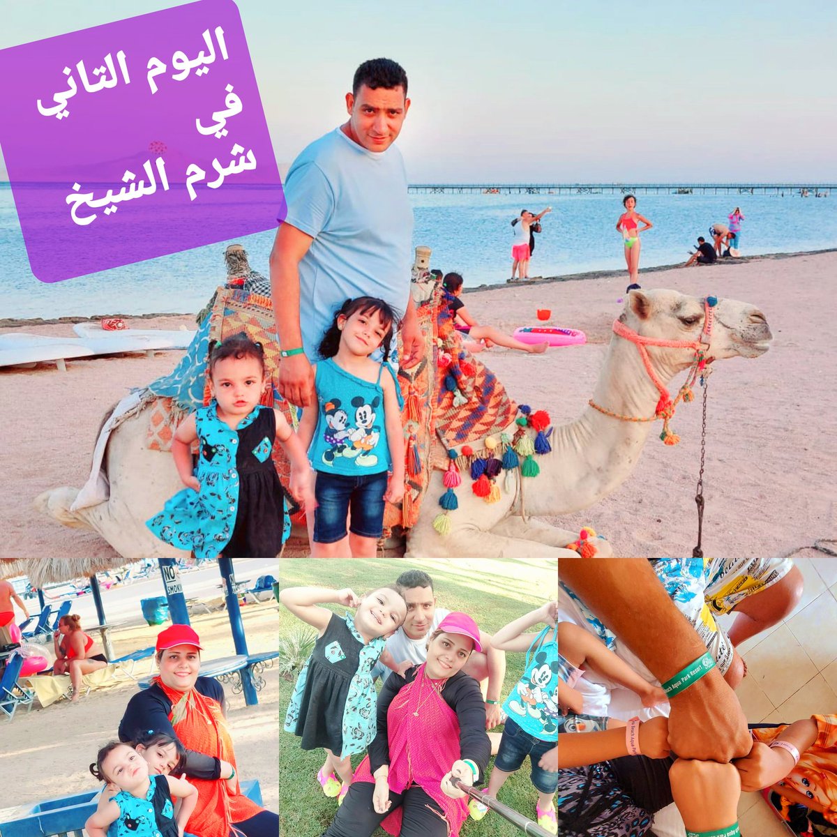 يوميات سمر وسامح tweet media