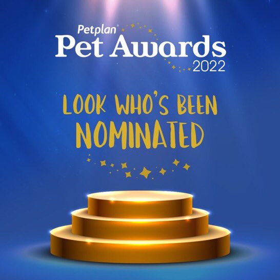 Poppy and Milo cats have been nominated for the 2022 #PetplanPetAwards. Poppy and Milo are a talented pair who were rescued from @MGAnimalRescue in Dorset. Furry paws crossed 😽🐈‍⬛🐈😻