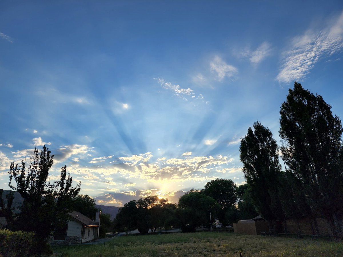 Tracy Scott Kelly tweet media