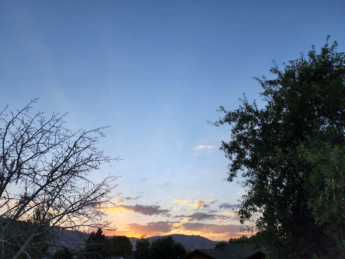 Tracy Scott Kelly tweet media