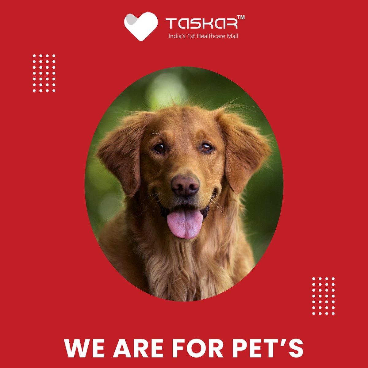 taskarmegamall's tweet photo. Care for Our Four Legged Friends. 
Buy Veterinary products from Taskarmall
Visit nearby Taskarmall or Order online from https://t.co/CwmInkXUfT

#veterinary #vet #veterinarymedicine #veterinaria #veterinarian #vetlife #vetmed #medvet #medicinaveterinaria #veterinario #vetstudent https://t.co/KqfYuR4gy1