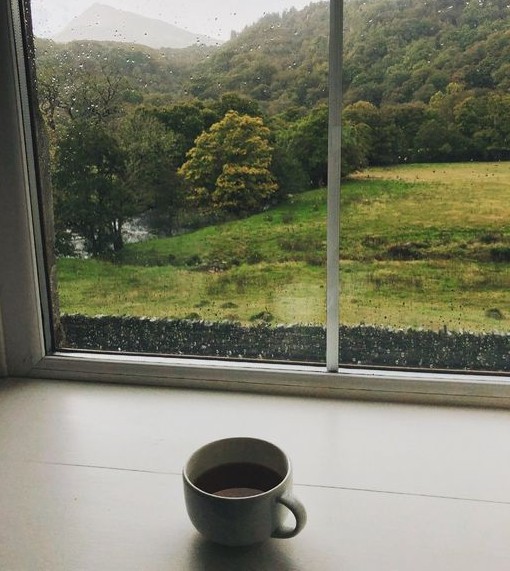 We ❤️ rainy days! Perfect for tea! ☕️ #cozy #cozyhome #rainyday #shoplocal