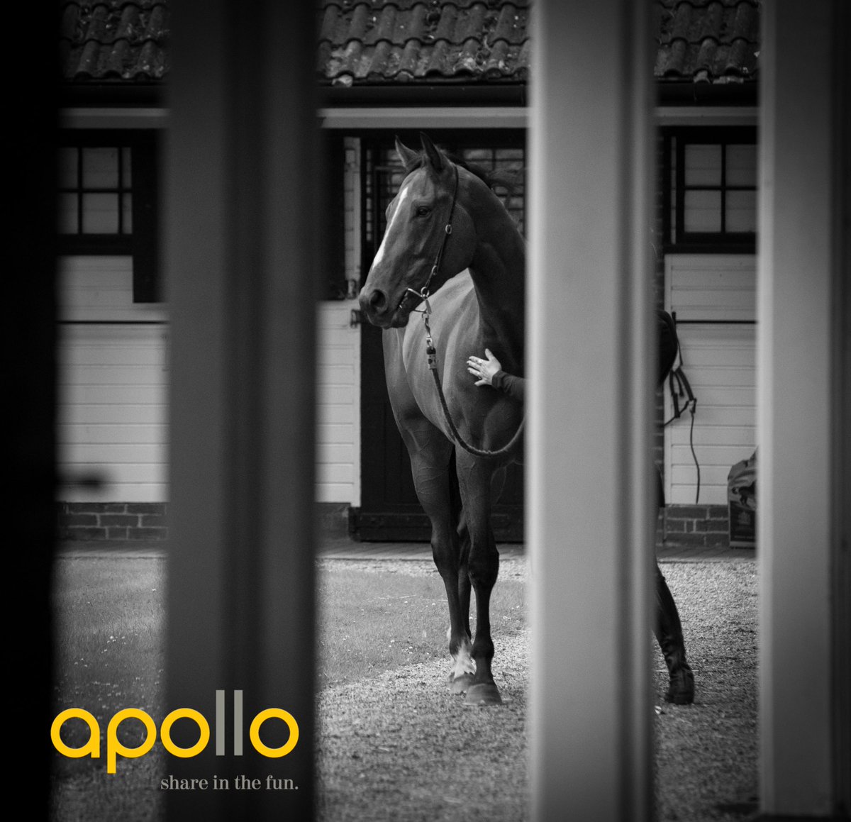 apollohorses's tweet photo. LE REVEUR

We are delighted to be having our first ever runner! Le Reveur will be racing this Saturday at @WindsorRaces sporting the Apollo silks. 

Being ridden by the “iron man”@neilcallan78!

Good luck to all owners! 

#shareinthefun https://t.co/3486LMeoIE