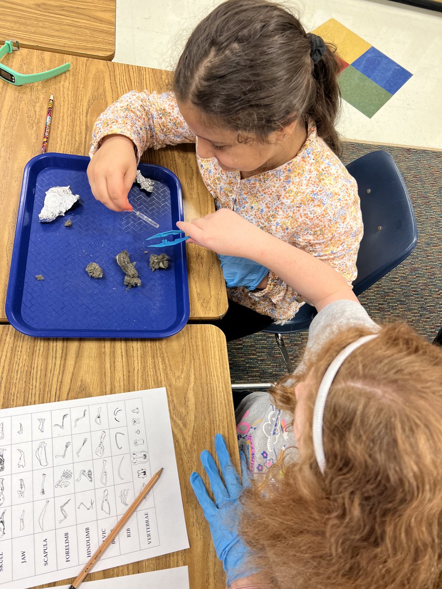 OPESPals tweet media