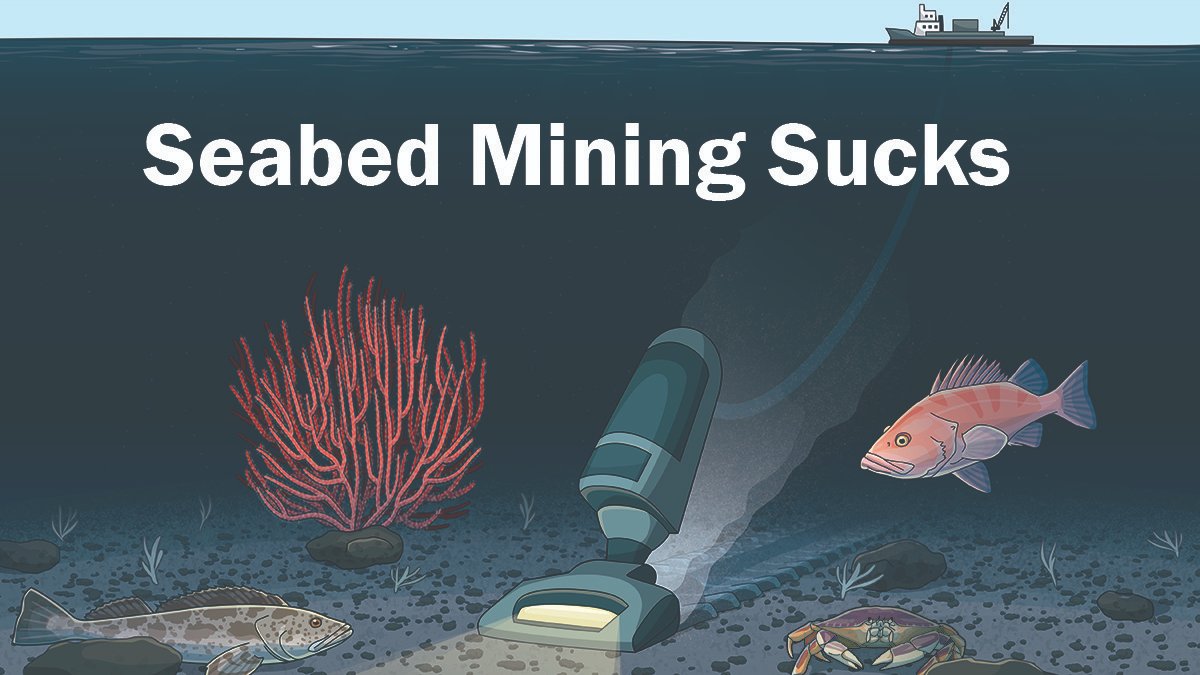 #DeepSeaMining endangers the health of California’s marine environment and our fishery and tourism industries. <a href="/ilike_mike/">Mike McGuire</a> and <a href="/SenToniAtkins/">Senator Toni Atkins</a> please support #AB1832 the California Seabed Mining Prevention Act. #DefendTheDeep #CAleg