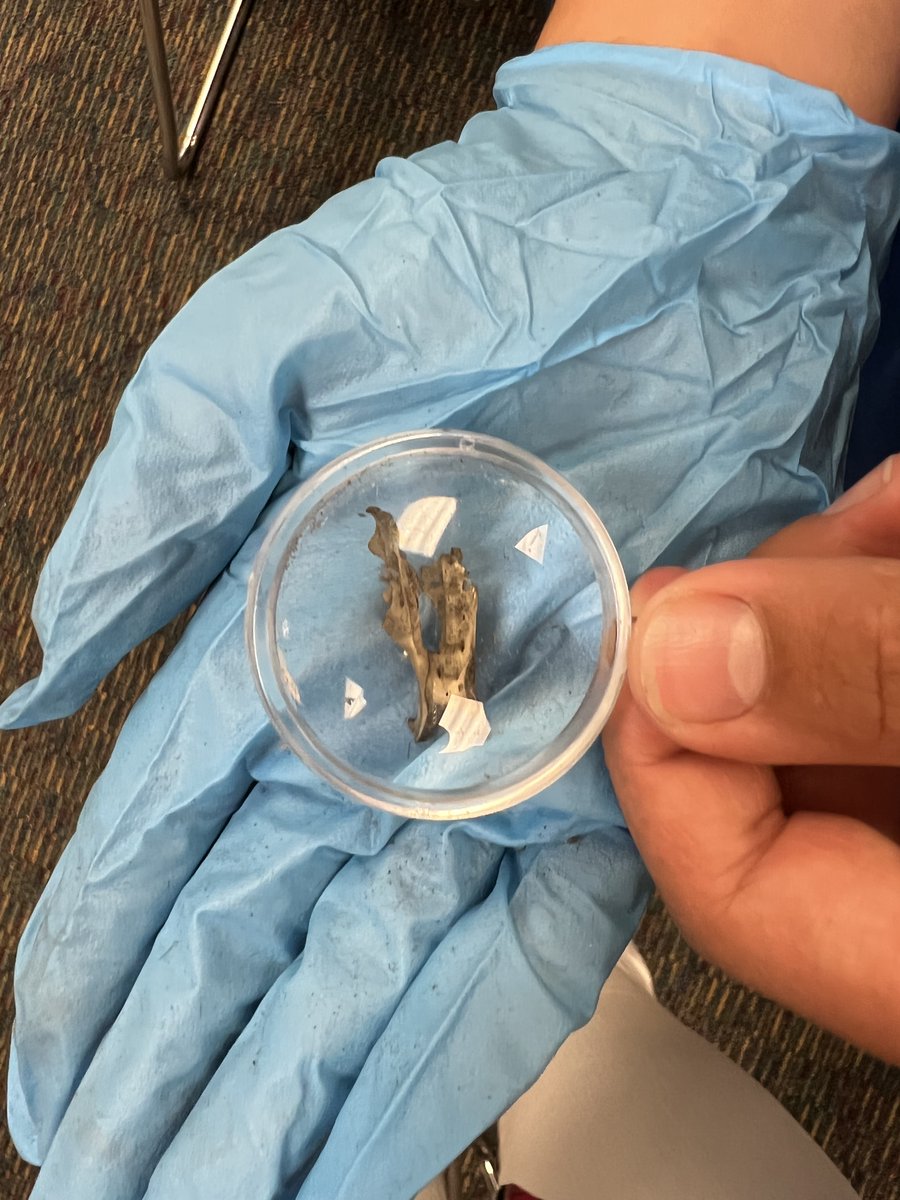 OPESPals tweet media