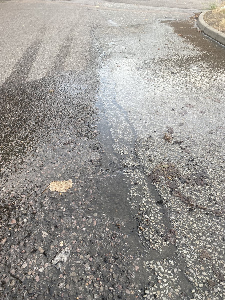 djpeteoc's tweet photo. @thameswater leak at Birch Walk / Fraser Road DA8. Been there a few days now https://t.co/sVhSddgnAI