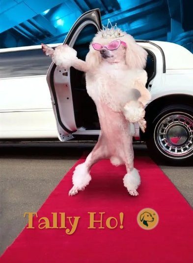 deloris888's tweet image. 16,000+ community members have signed the @TallyCash  Community Pledge! #defendWeb3 
Let&apos;s go ! Tally Ho ! #Ethereum #PolygonNFT