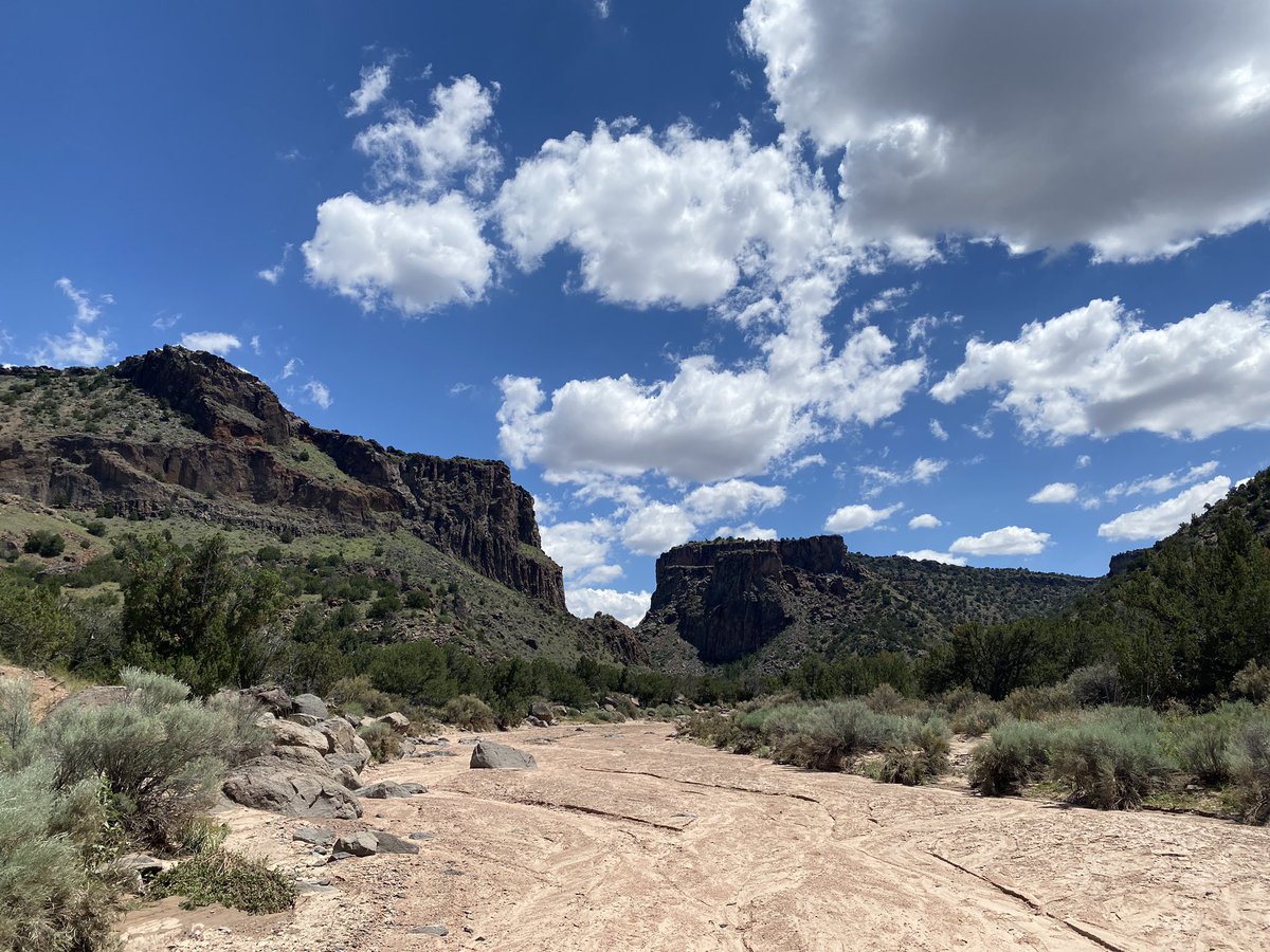 Andy Feldman tweet media