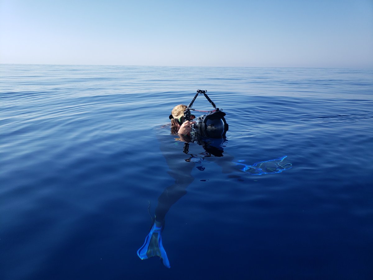 Am I #shark bait here??  Coolness settles into my wetsuit as I snap photos of our #survey team's boat activities. I can't help taking a moment to appreciate that my office today is the crisp clear and ultra-salty water of Italy's Tyrrhenian Sea. 
#italy #exploration #officespace