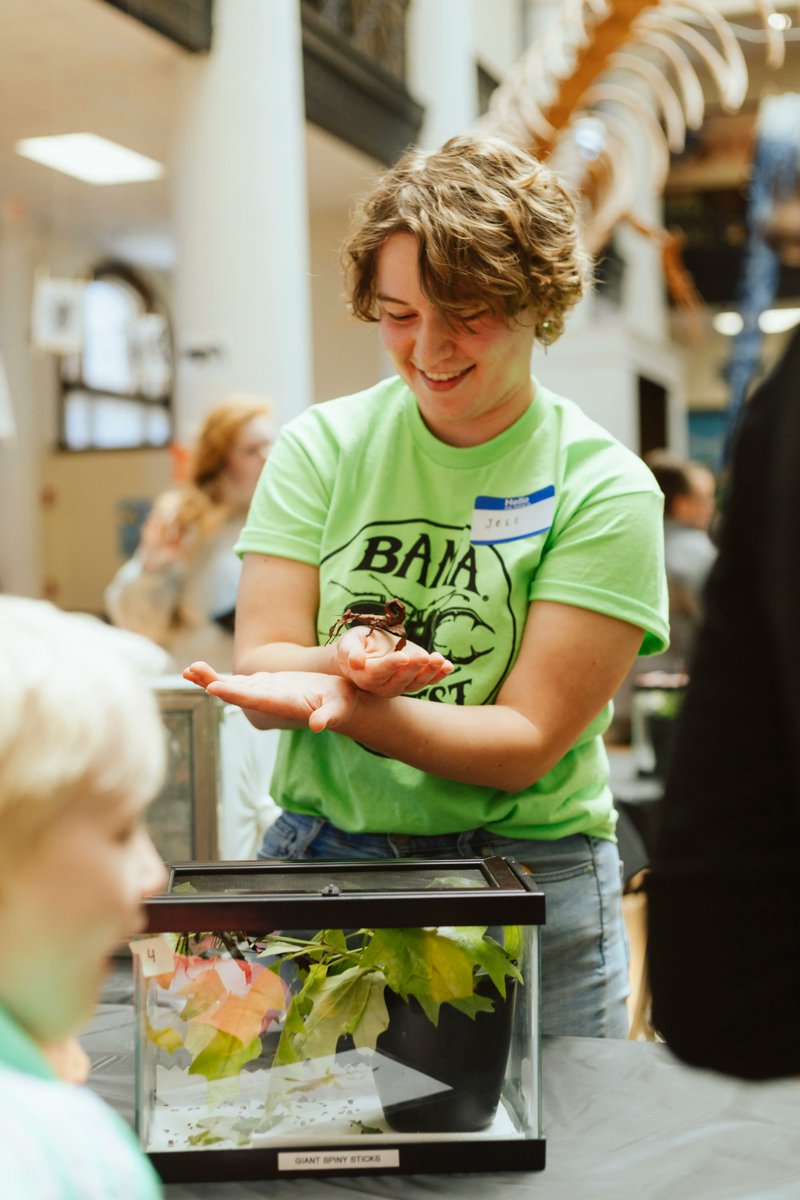 BamaBugFest's tweet photo. On this #ThrowbackThursday, we'd like to highlight our live 🐛  insects and great volunteers!

📷 : Johana Chavez

#UAMuseums #RollTide #Tuscaloosa #Alabama https://t.co/qBhD2CYTyU