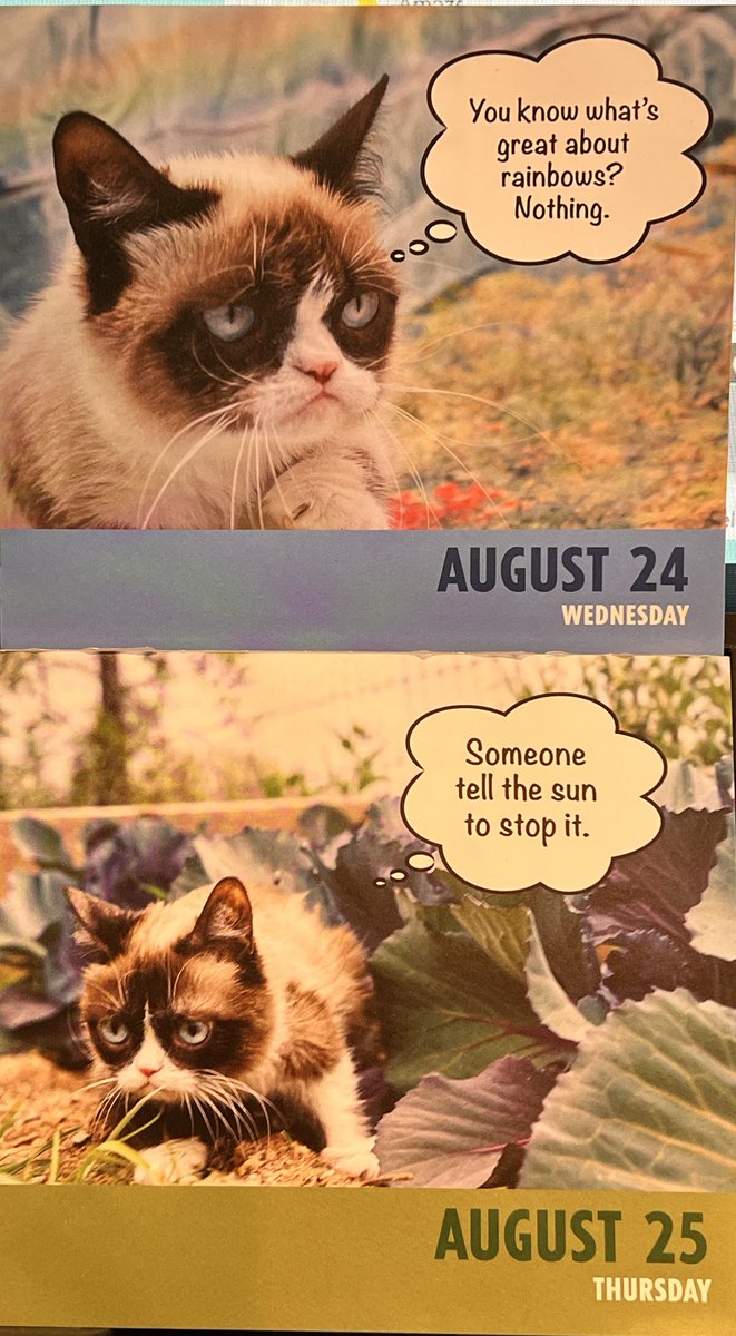 ToreeMcGee's tweet photo. Honestly though how is it only Thursday? #dailygrump #grumpycat https://t.co/CGdXFeyegu