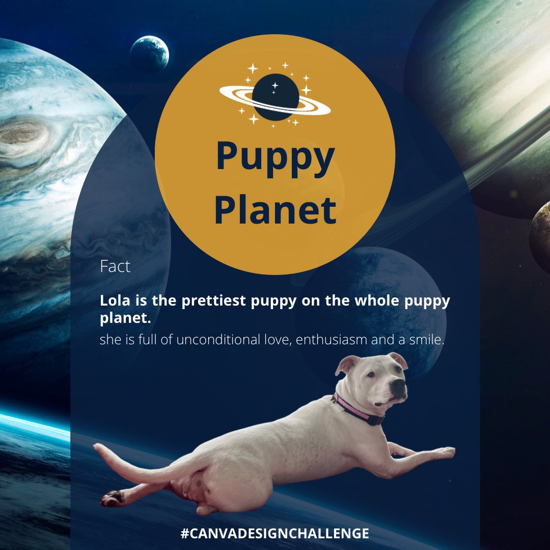 We’d love to win the best pet contest <a href="/canva/">Canva</a> !! #CanvaDesignChallenge
