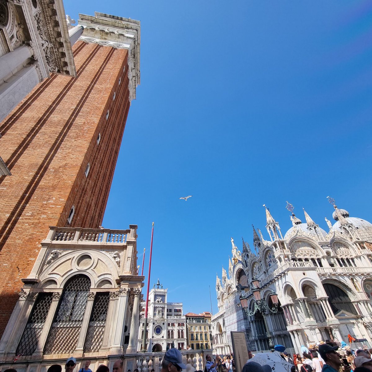 #BasilicaDiSanMarco #TravelPhotography #Italia #Venecia
