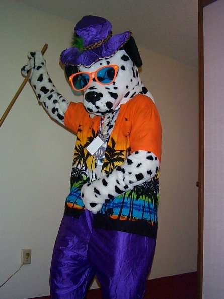 Furry Archive tweet media