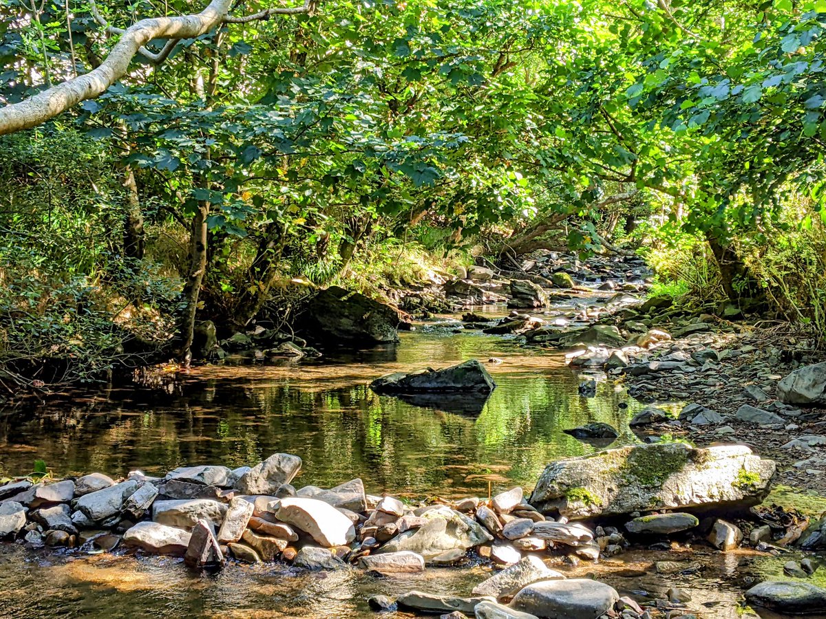 guywalters's tweet photo. Show me somewhere more idyllic. https://t.co/VwmM1zJ3KJ