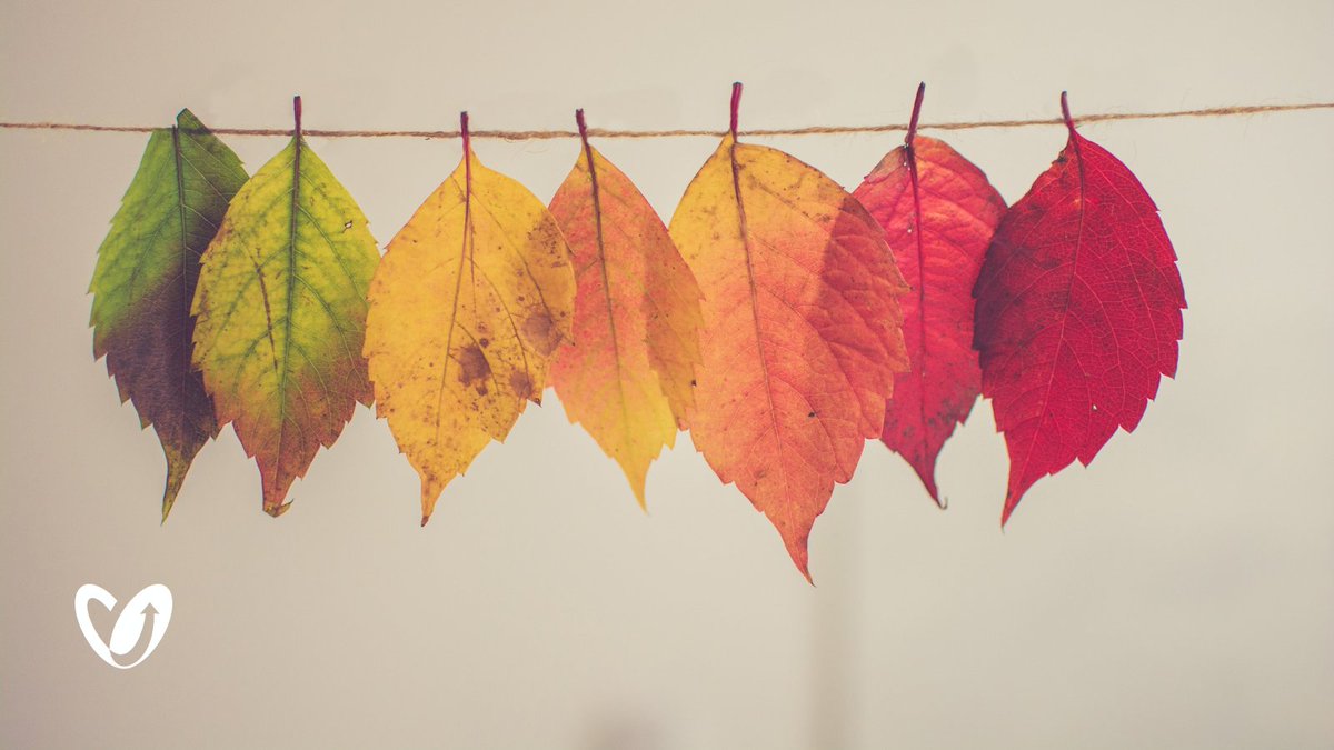 Changes_CHP's tweet photo. In conjunction with Queen Margaret University’s #SustainableTravelDay we will be holding our next Ponder Wander session on @QMUniversity grounds.

🗓️ Thurs 29th Sept, 1:00pm
📍 Meeting outside the cafe

Please do come along!

For more info: jade@changeschp.org.uk or 0131 653 3977 https://t.co/NVLCVJ4q4l