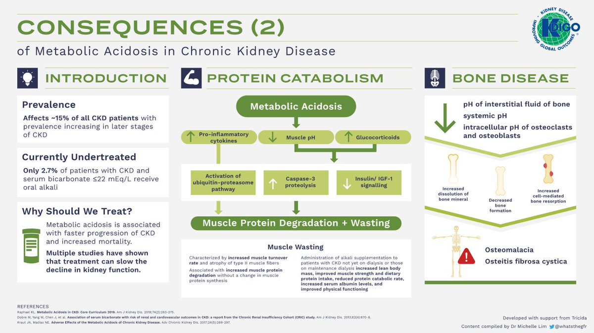 edgarvlermamd's tweet photo. CKD and metabolic acidosis from @goKDIGO #Nephpearls
#Infographics by @whatsthegfr 

👉 https://t.co/dl8u2pQ3hH https://t.co/YiQ2ZtrXYr