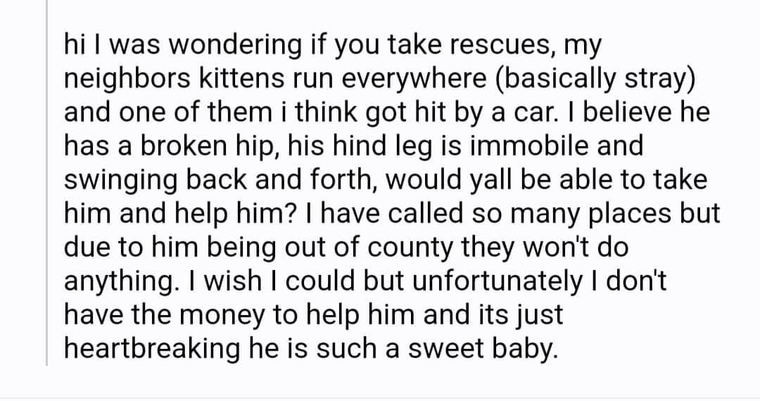 TNProverbs1210's tweet photo. Another day.. another plea from areas with no options. This baby is in route to the vet. No animal should have to drag a broken leg behind them. This is another face of over population.
A reminder.. one in four who come to us is a critical need animal.
#LifeGuardsAtWork https://t.co/d0x67oLaOB