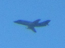 BloodyPolitics's tweet photo. Oh wait, zooming in to a small speck of dust reveals I did catch it after all. 🤣 #GFRAP https://t.co/4zvl7JMu7v