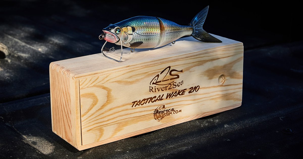 TackleWarehouse's tweet photo. Shop Now👉https://t.co/hIbobb52Tr
The culmination of a decade-long design and refinement process between River2Sea and TacticalBassin, the River2Sea Tactical Wake 210 pushes the limits of what can be achieved with a topwater.
#TackleWarehouse #River2Sea #TacticalBassin https://t.co/Te0o8jp1Jp
