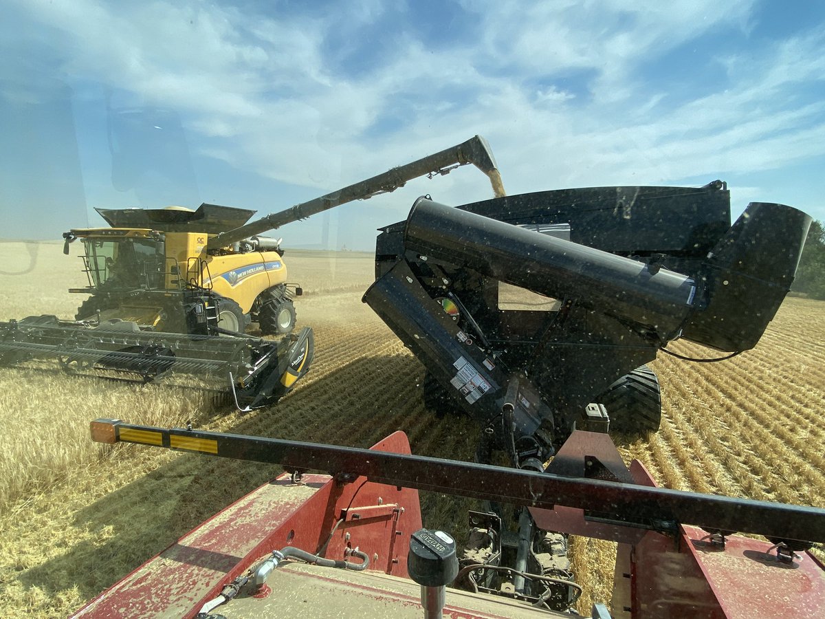 2022 CR10.9 and 2022 Elmers Haulmaster 2000 today on a good barley crop!