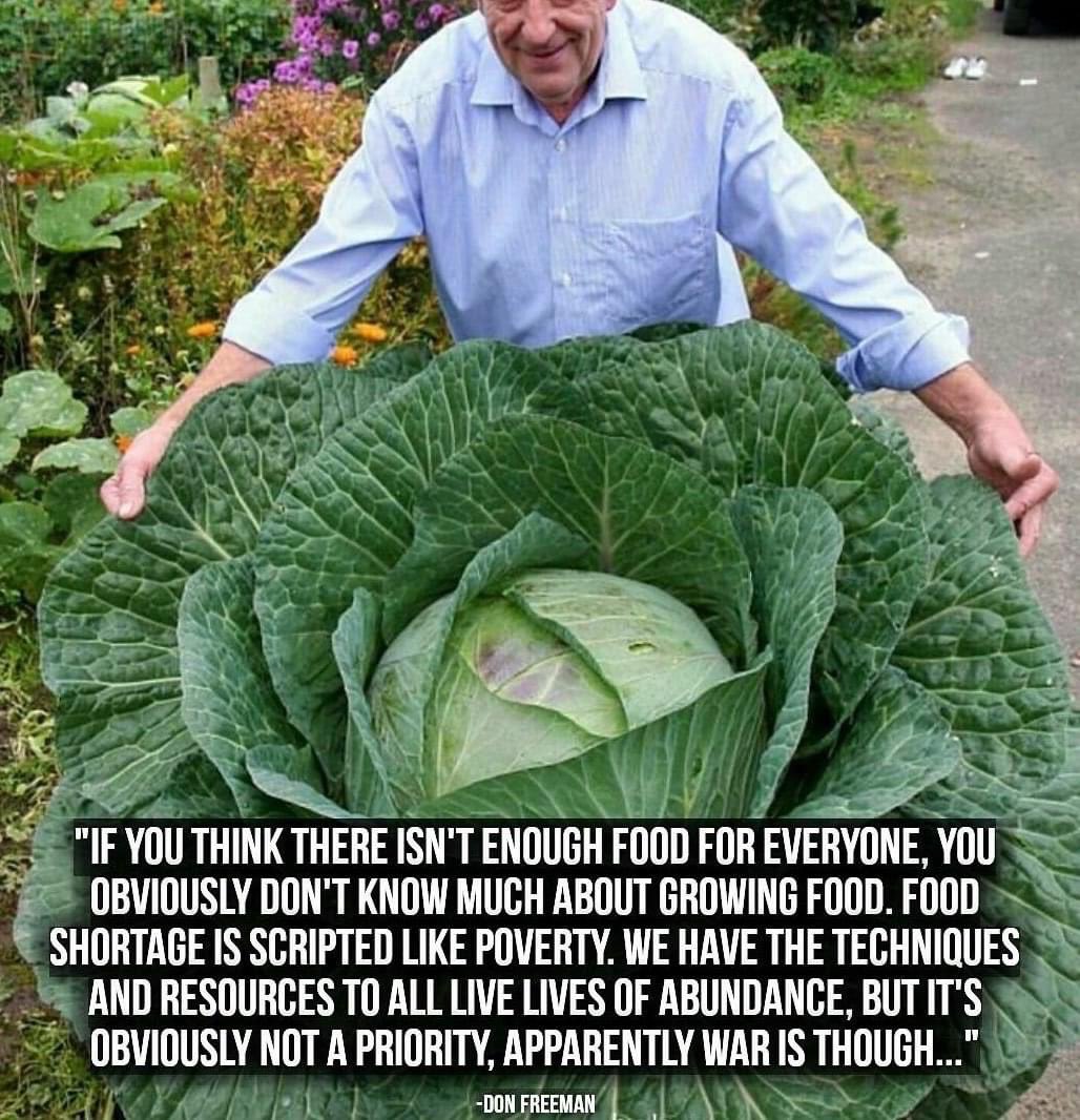 RIerdogan's tweet photo. #foodisfree https://t.co/v5A2f7cBJc