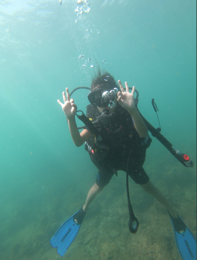 SamAlosha1's tweet photo. Its Diving Time!!!!!!! The Buona-vista Coral Reef, Rumassala, Galle, Sri lanka with sun diving https://t.co/cagSRHD39B