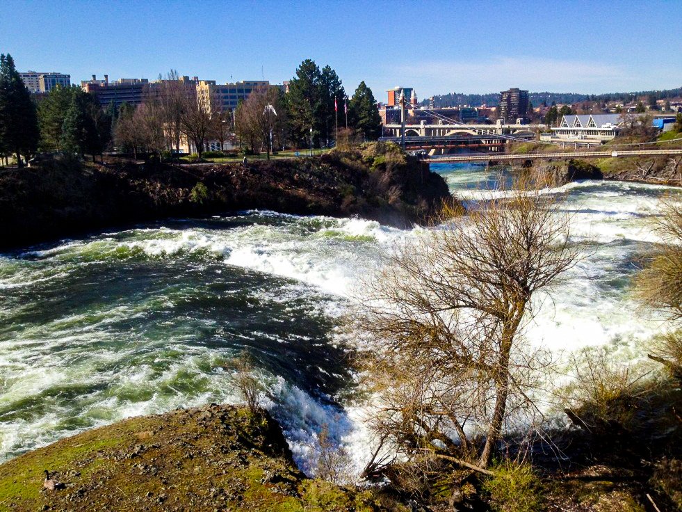 Clinkerdagger's tweet photo. Now that's a view you have to see!
.

.

.
#clinkerdagger #spokanefood #spokane #eats #spokanewa #spokanelife #spokaneeats #foodies #spokanefoodies #eatlocal #drinklocal #spokanewashington #spokanetakeout https://t.co/mK0ThpRAg0