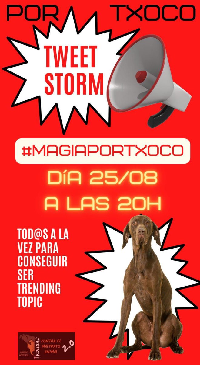 aleex_caldee's tweet photo. Te encontraremos Txoco
#magiaportxoco https://t.co/SVm9BQPZZ0