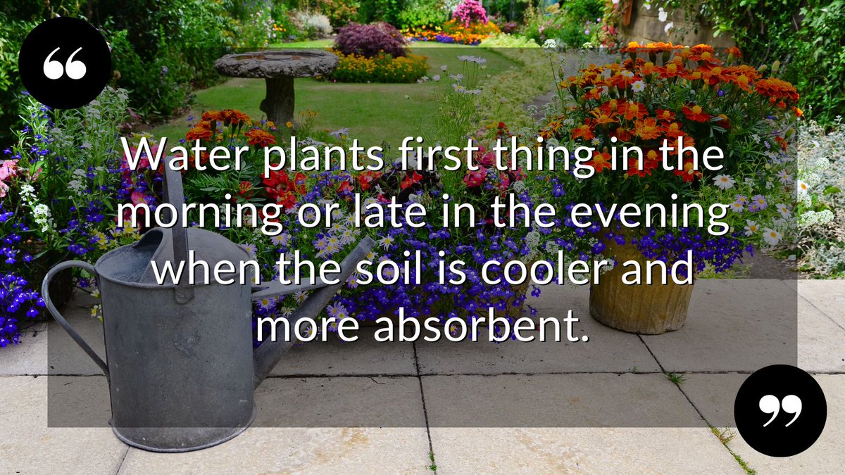 Being clever with the way you water your garden can keep it looking super for viewings and save you money cutt.ly/OXIjMxx

#BurgessHillproperty #BurgessHilllettingagent #BurgessHill #homesellingtips #gardeningtips #wateringplants