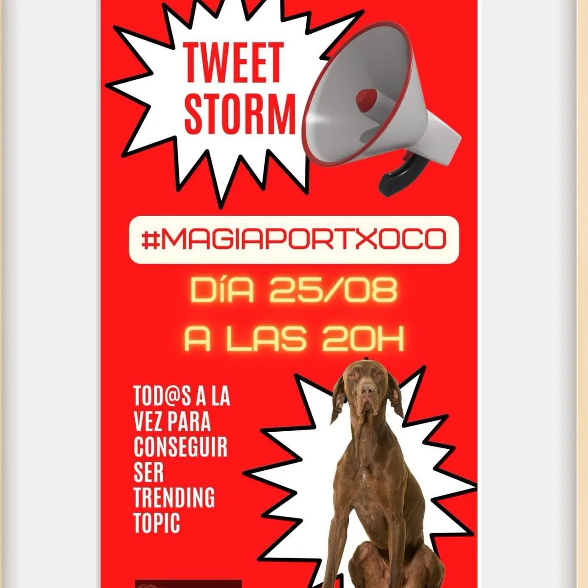 marchals1's tweet photo. #MagiaPorTxoco
¡Por que tiene que parecer!
Que todo el mundo se entere.
Su familia necesita que vuelva a casa.
#COMPARTE #TXOCOVUELVEACASA https://t.co/hhlqrGufzq