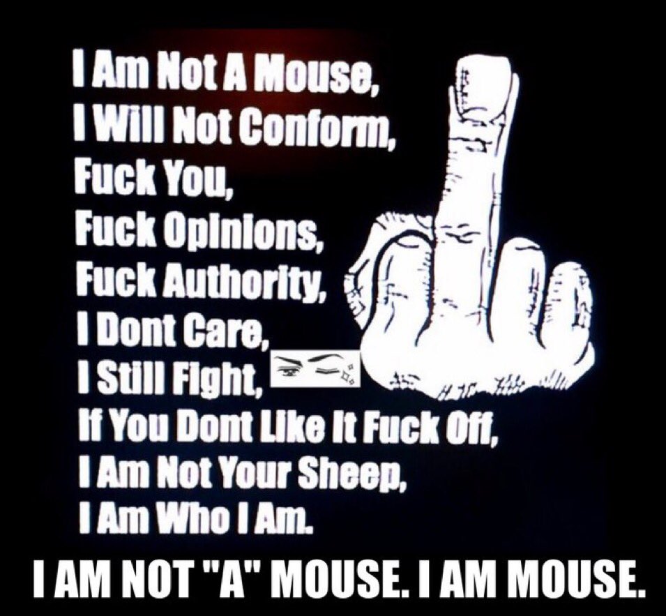 raaAaAaaHhHh Mouse tweet media
