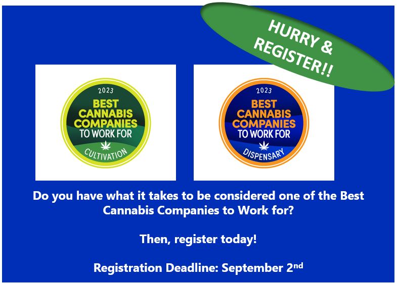 BestCompaniesGP's tweet image. Register here: bestcompaniesgroup.com/best-cannabis-…
#BestCannabisCultivation #BestCannabisDispensary @CBTmag