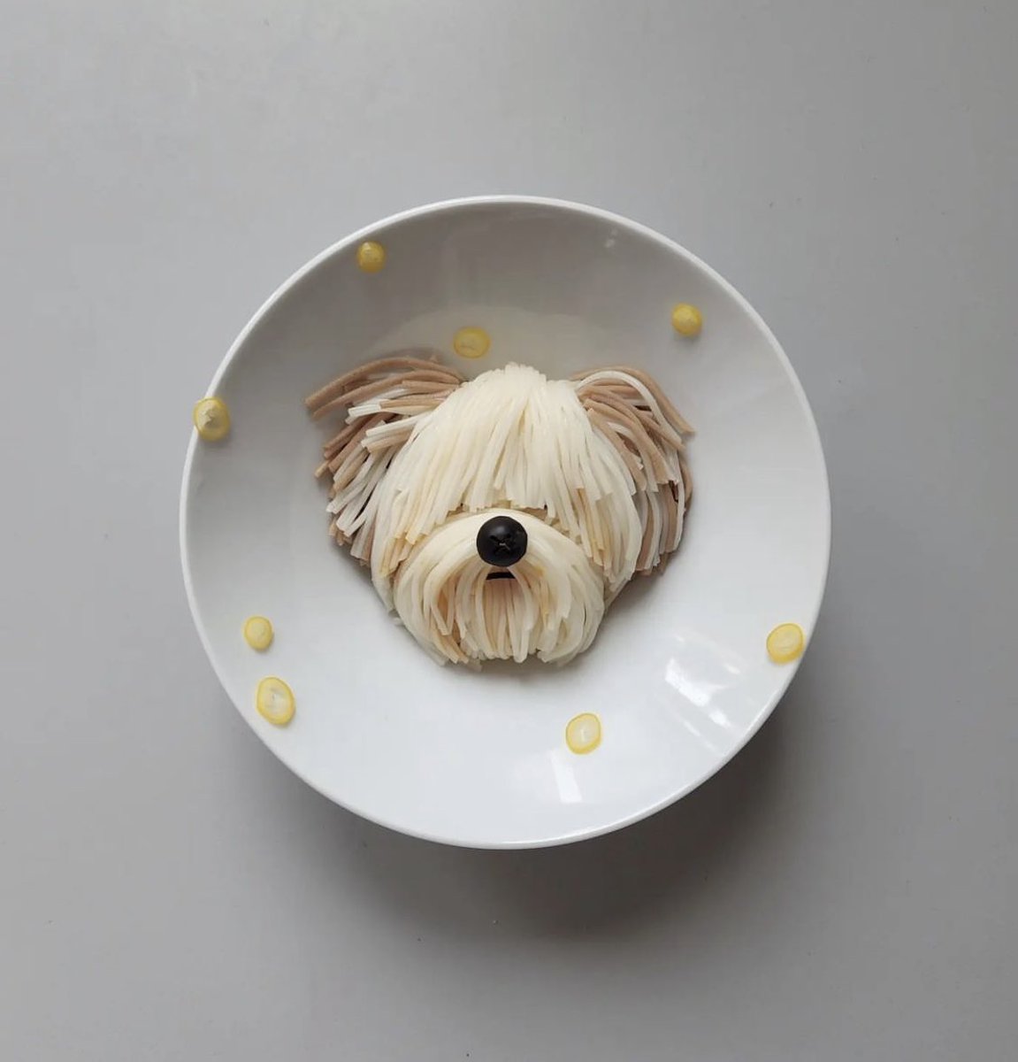 presentcorrect's tweet photo. Dog sushi/noodles. https://t.co/NGrMQ1P647 https://t.co/8GaQh5AZyo