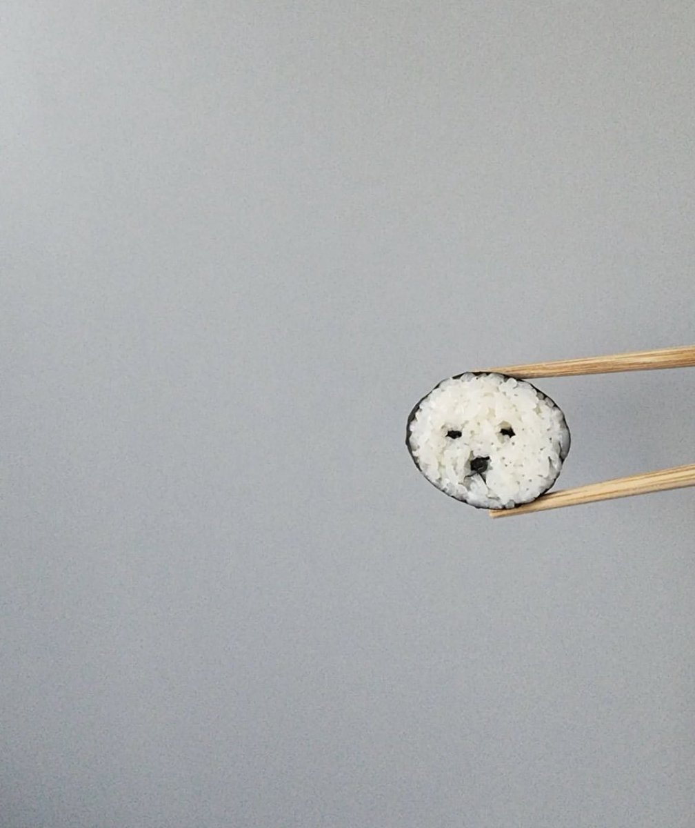 presentcorrect's tweet photo. Dog sushi/noodles. https://t.co/NGrMQ1P647 https://t.co/8GaQh5AZyo