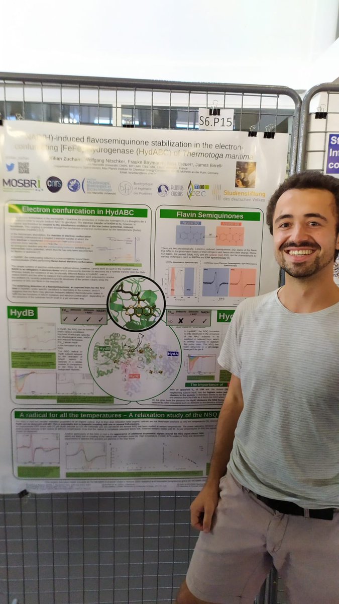 Great atmosphere and exciting discussions at the home game, #EBEC2022 in presenting our first spectroscopic results of the [FeFe]-Hydrogenase (HydABC) in T.maritima after the great structural work of @JamesBirrell86 @JNB_lab Hyped to see where it goes!