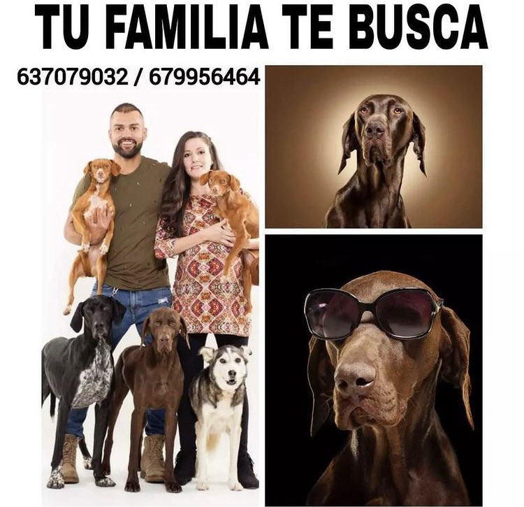 susanvanceveg's tweet photo. #Txoco necesita volver con su familia #magiaportxoco https://t.co/5TrDjgB6iE