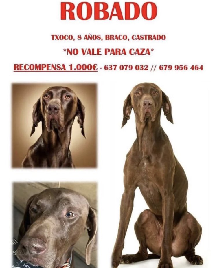 susanvanceveg's tweet photo. #Txoco necesita volver con su familia #magiaportxoco https://t.co/5TrDjgB6iE