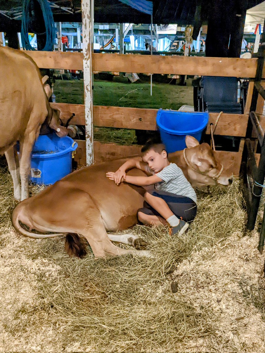 Saverio Guerra tweet media