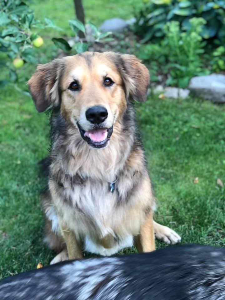 Laura Marshall tweet media