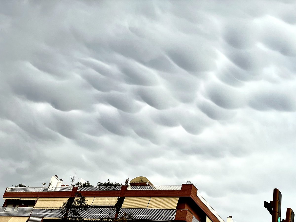 Mamocúmuls a Sant Andreu (Barcelona)